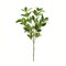 28" Faux Myrtle Leaf Branch | Artificial Greenery Stem-FL2666-G